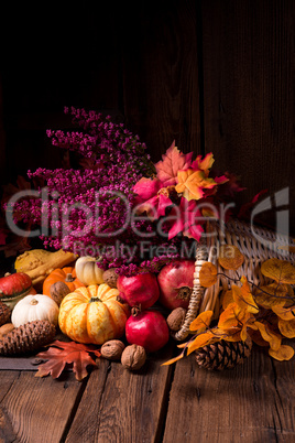 Cornucopia