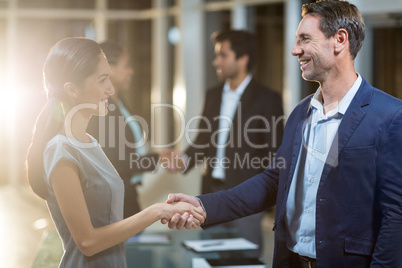 Businessman shaking hands with colleague