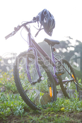 Bicycle parked on grass