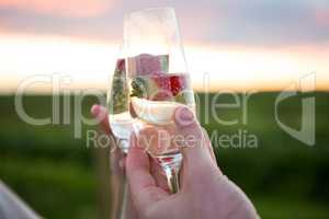 Close-up of couple toasting glass of champagne