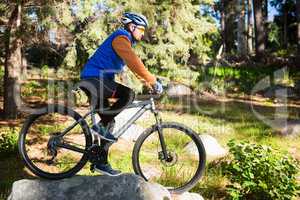 Male mountain biker riding bicycle in the forest