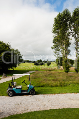 Golf cart in golf course