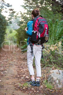 Female hiker walking in forest with backpack