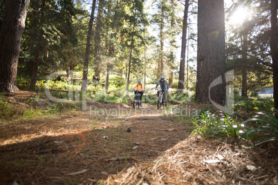 Biker couple riding mountain bike in the forest