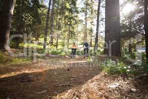 Biker couple riding mountain bike in the forest