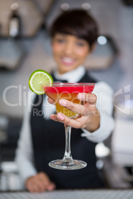 Bartender holding glass of cocktail in bar counter