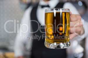 Bartender holding glass of beer in bar counter