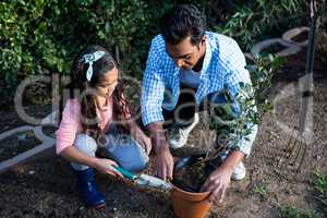 Father and daughter potting a plant in pot at backyard