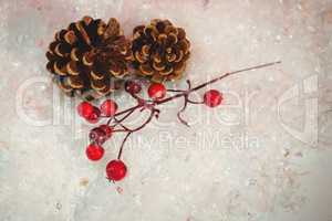 Pine cone and red cherry on snow