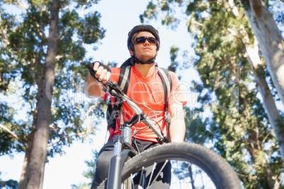 Male mountain biker riding bicycle in the forest