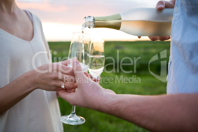 Close-up of couple having champagne in field