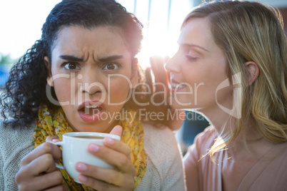 Woman whispering a secret into her friends ear while having coffee