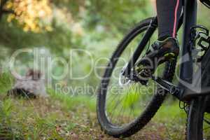Low section of female mountain biker riding bicycle