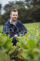 Farmer checking his crops in the field