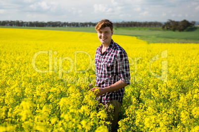 Happy man standing in mustard field