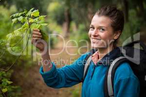 Female hiker holding a leaves