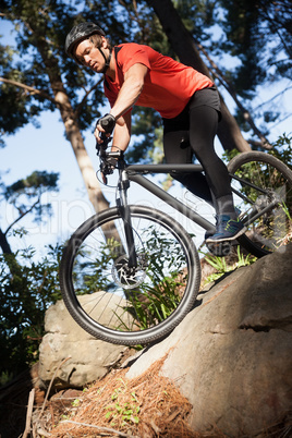 Male mountain biker riding bicycle in the forest