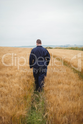 Rear view of farmer walking in the field