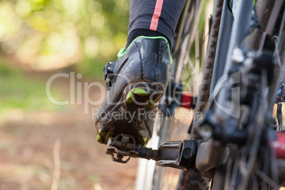 Low section of mountain biker riding bicycle