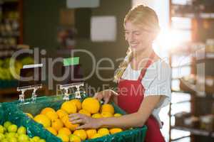 Female staff checking fruits in organic section