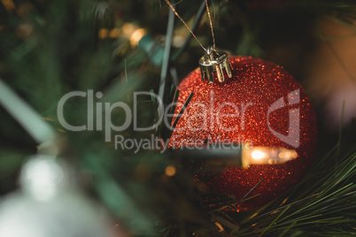 Close-up of christmas bauble hanging on christmas tree