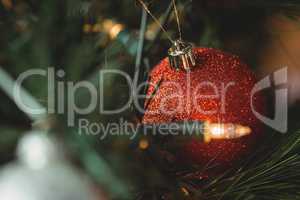 Close-up of christmas bauble hanging on christmas tree