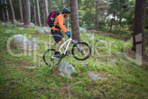 Male mountain biker riding bicycle in the forest