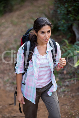 Female hiker walking in forest