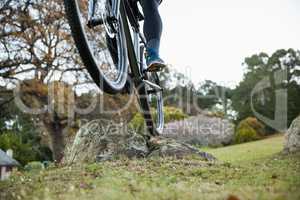 Male mountain biker riding bicycle in the forest