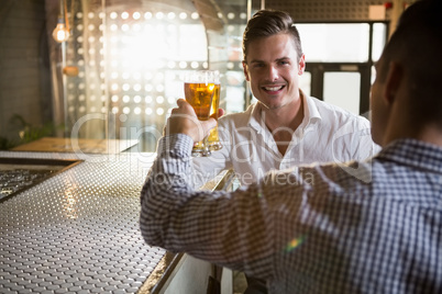 Two men toasting a glass of beer