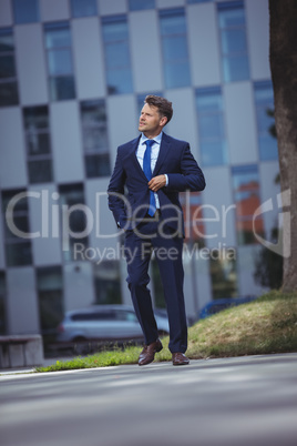 Businessman walking on road