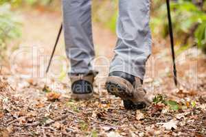 Male hiker walking with hiking pole