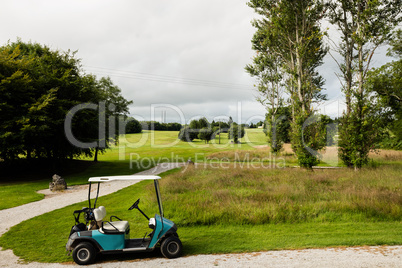 Golf cart in golf course