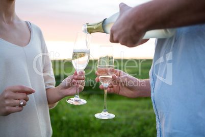 Close-up of couple having champagne in field