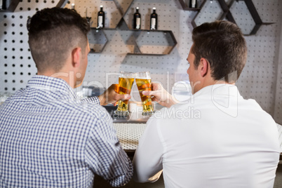 Two men toasting a glass of beer