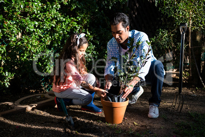 Father and daughter potting a plant in pot at backyard