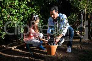 Father and daughter potting a plant in pot at backyard