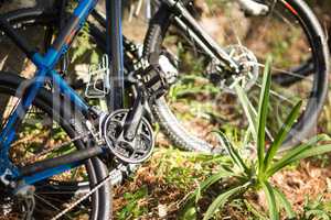 Close-up of mountain bike in forest
