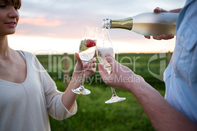 Couple toasting champagne in field