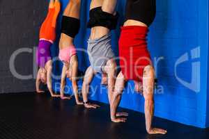 Athletes practicing handstand in fitness studio