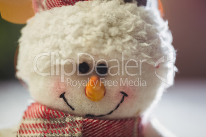 Close-up of snowman