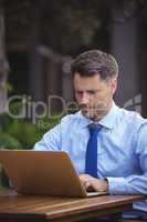 Handsome businessman using laptop