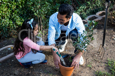 Father and daughter potting a plant in pot at backyard
