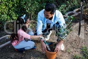 Father and daughter potting a plant in pot at backyard