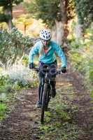 Female mountain biker riding bicycle in the forest