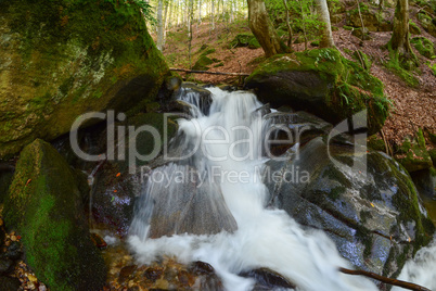Waterfall on stream in the middle of beech forest