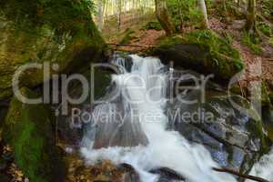 Waterfall on stream in the middle of beech forest