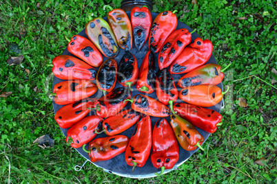 Roasted red peppers, top view