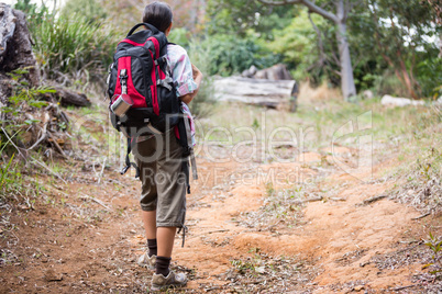 Female hiker walking in forest with backpack