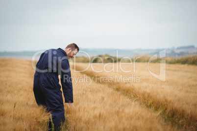 Farmer checking his crops